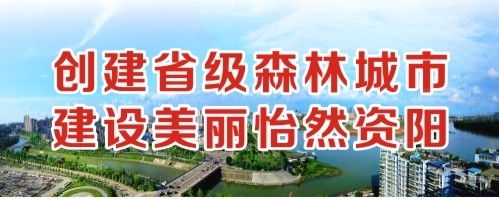 大鸡巴艹逼视频黄创建省级森林城市 建设美丽怡然资阳